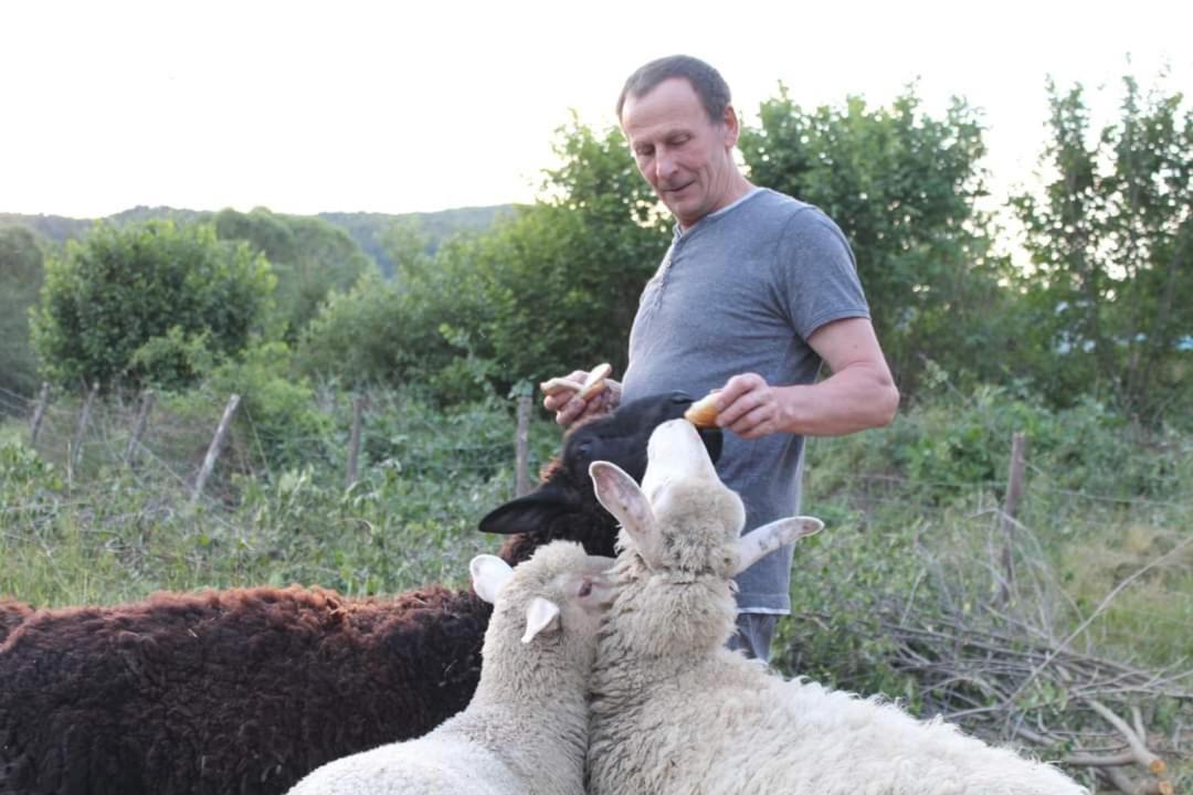 Dobranocka Ξενοδοχείο Malastow Εξωτερικό φωτογραφία